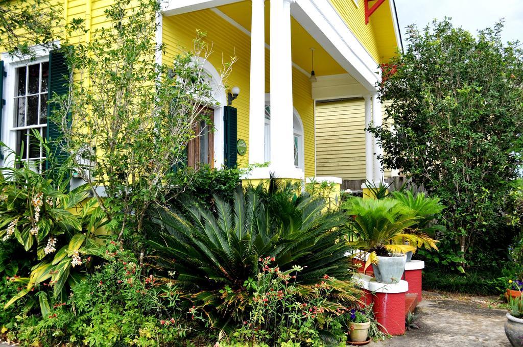 Auld Sweet Olive Bed And Breakfast New Orleans Exteriér fotografie