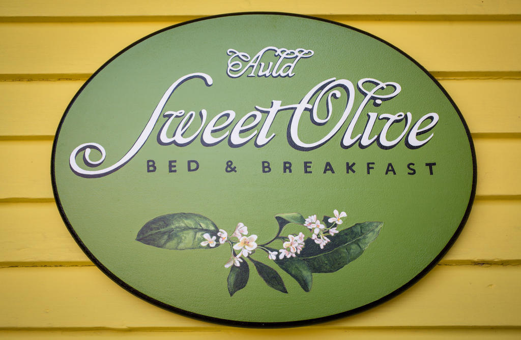 Auld Sweet Olive Bed And Breakfast New Orleans Exteriér fotografie